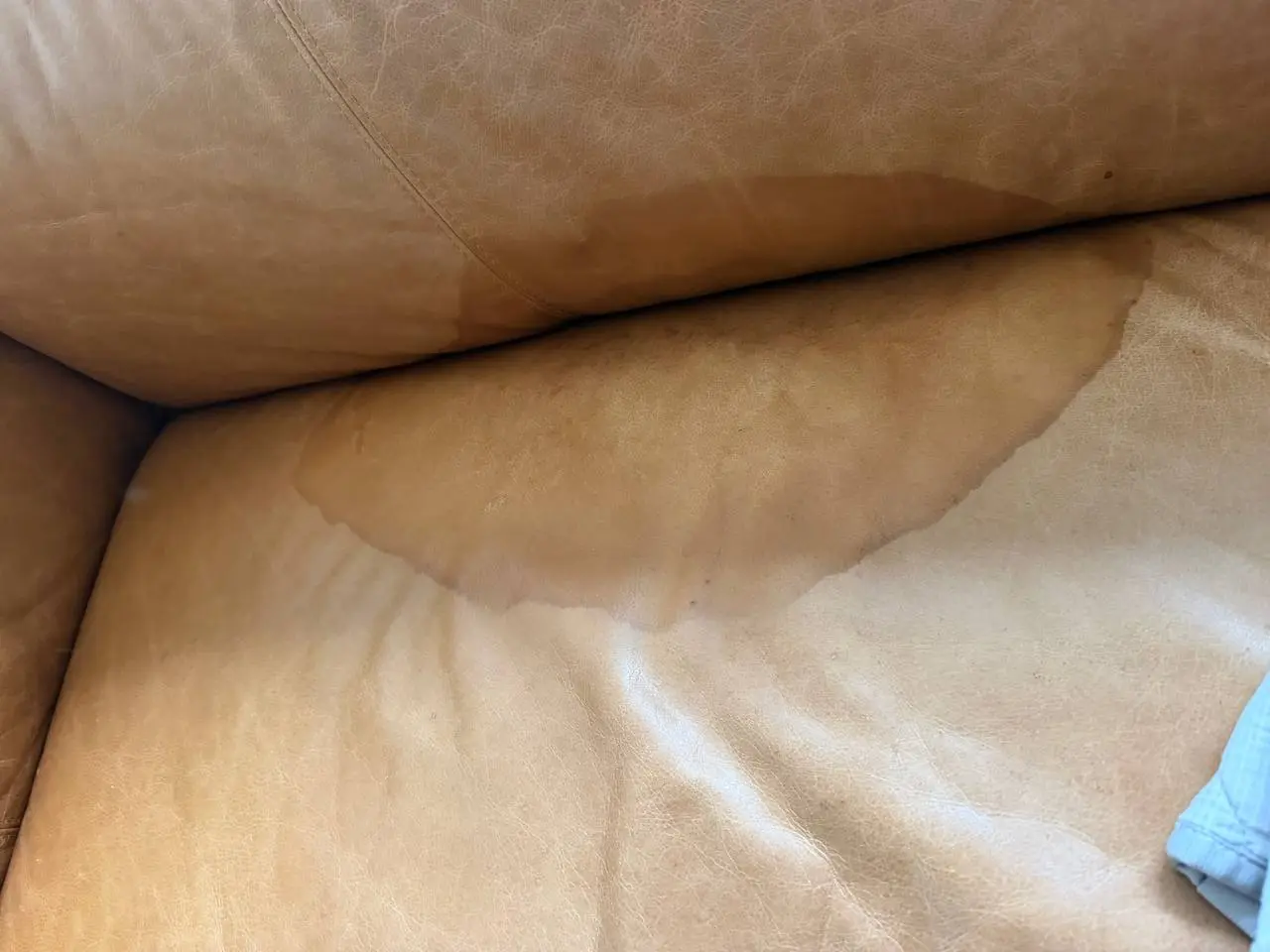 Leather Sofa Restoration After Pet Urine Damage