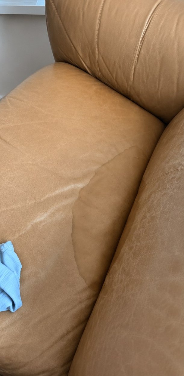 Leather Sofa Restoration After Pet Urine Damage