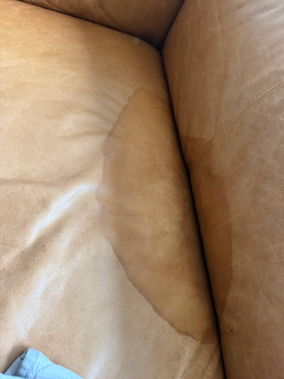 Leather Sofa Restoration After Pet Urine Damage