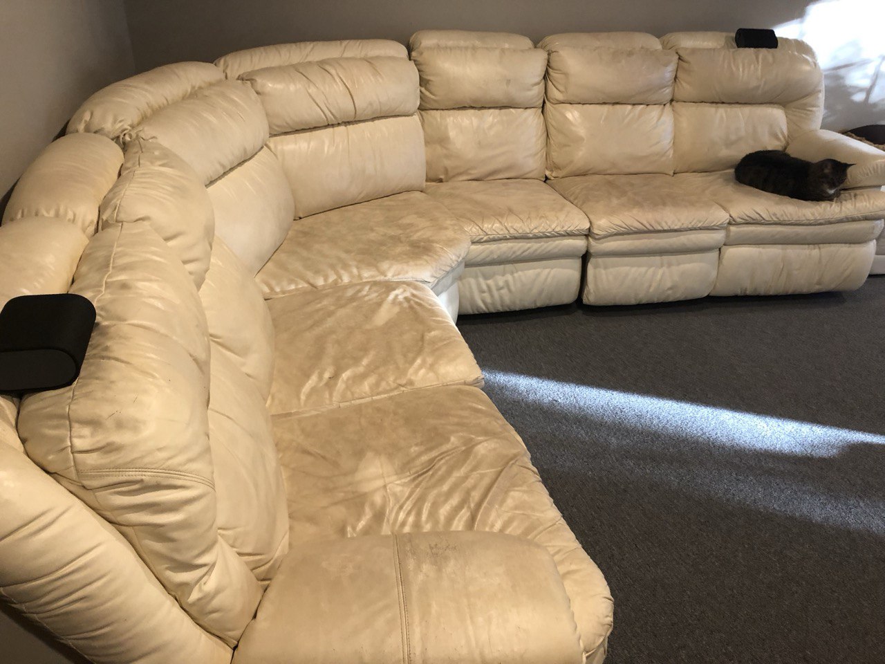 Complete Leather Sectional Recoloring