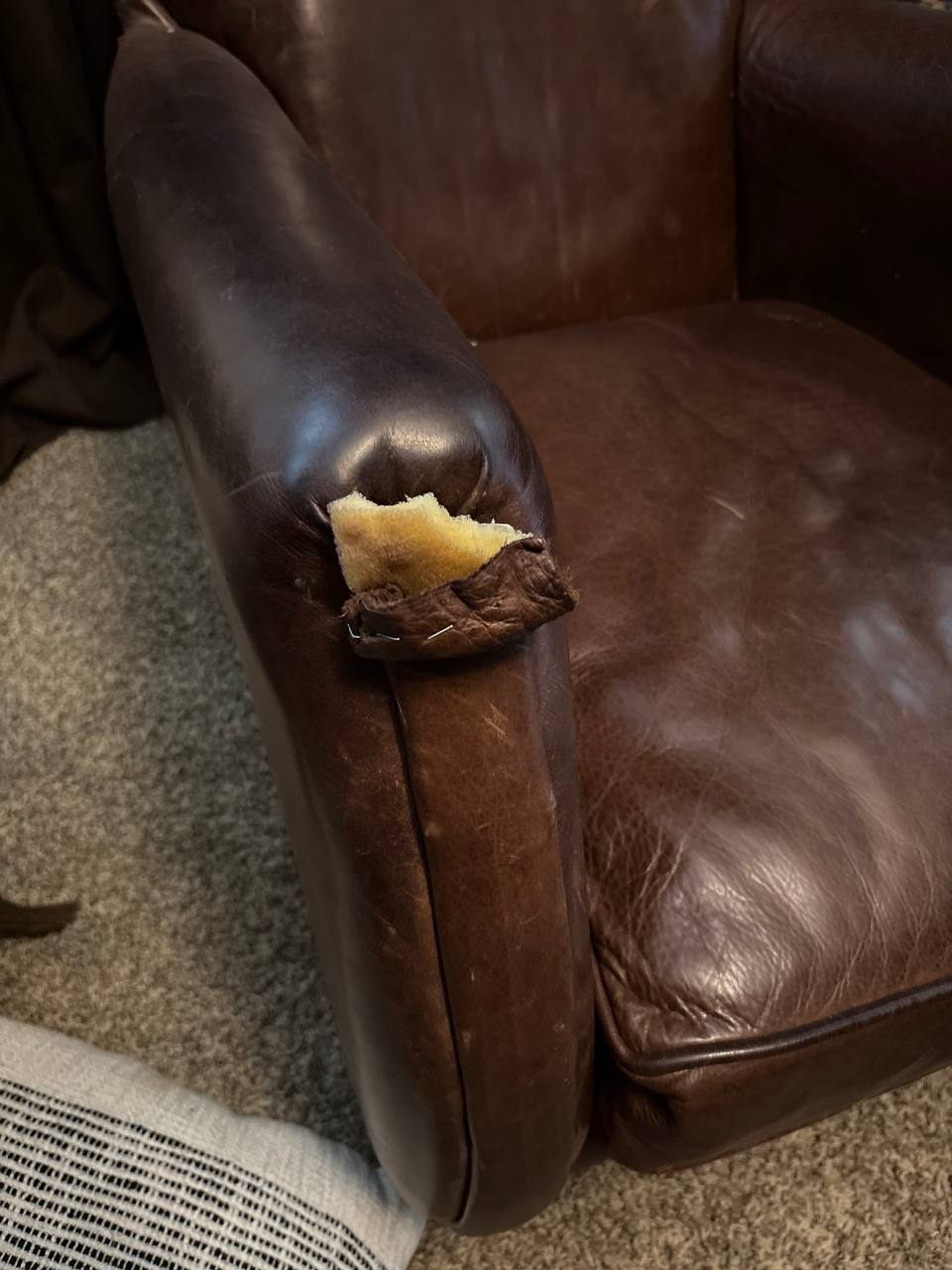 Leather Chair Restoration After Tear and Pen Damage